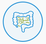 Digestión y microbiota - Probióticos